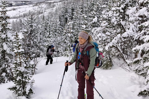 Tromsø: Ski/Randonnee Guided Tour Private tour