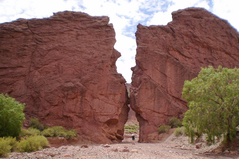 Uyuni Salt Flat: From Tupiza | 4 days | Private | Hotel