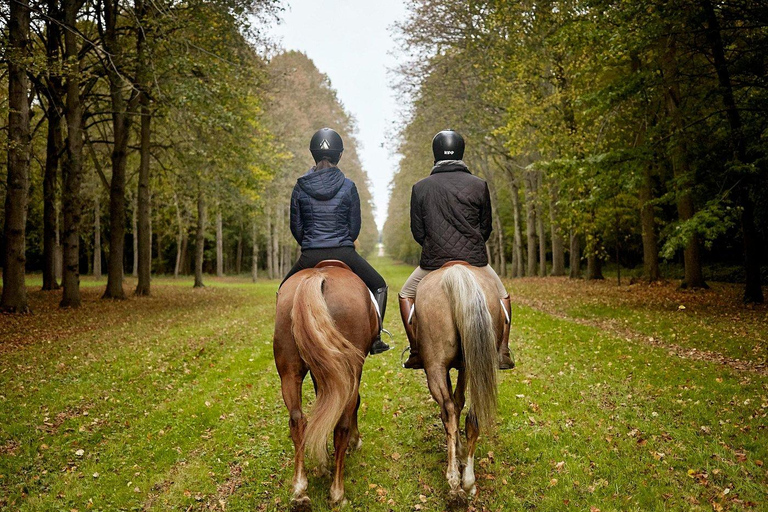 Versailles: Tour and Horseback Riding