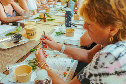 Aruba: Workshop lokale fauna en flora intentie potten maken