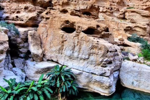 Visite du Wadi Shab