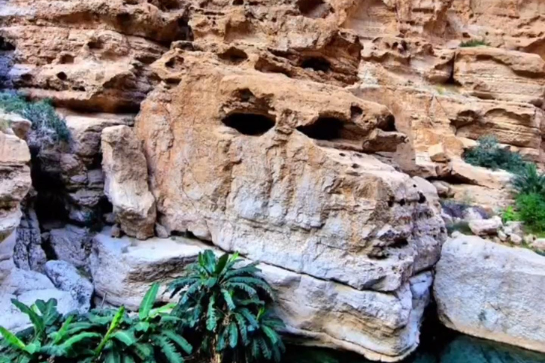 Visite du Wadi Shab