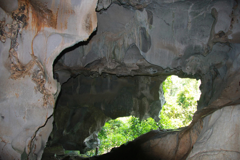 Half Day Hiking to Cat Ba National Park with a Guide