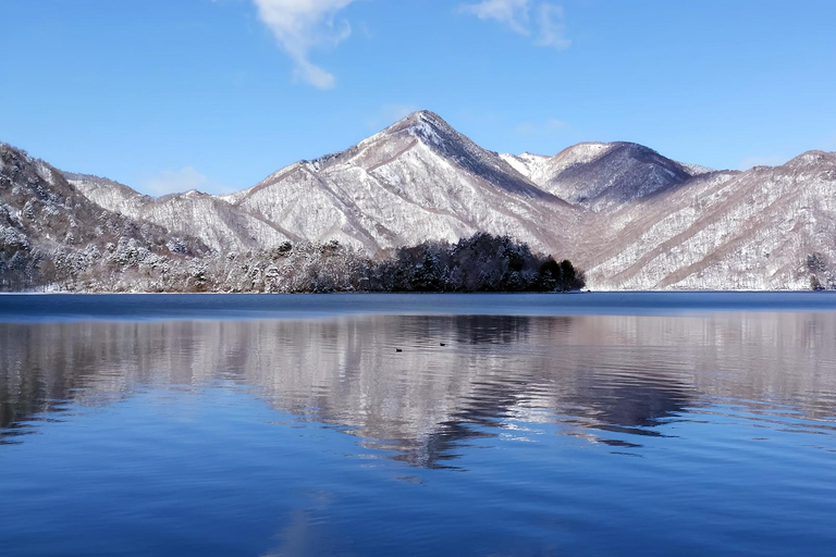From Tokyo: Nikko Toshogu Shrine and Lake Chuzenji Day Trip Private Sightseeing Tours