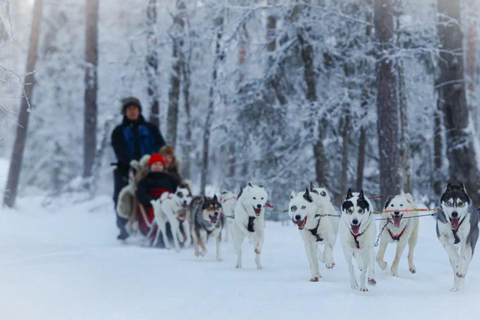 Levi: Husky Farm Visit, Sleigh Ride and Husky Hugging
