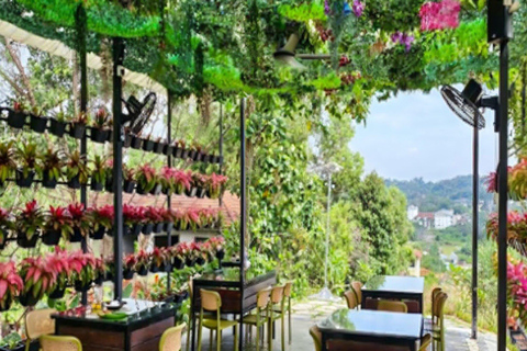 Kajang: Sak Dato Temple, EcoHill Park & Pineapple Farm Tour