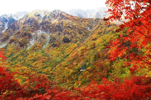 Kanazawa/Nagano: Tateyama Kurobe Snow Wall Day Tour Kanazawa: Tateyama Kurobe Snow Wall Day Tour