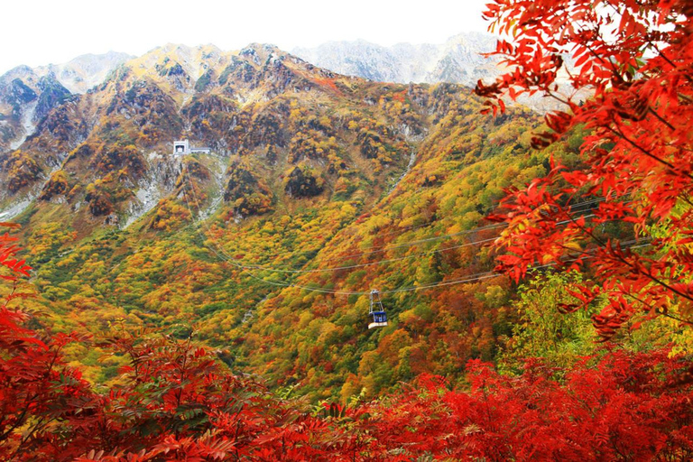 Kanazawa/Nagano: Tateyama Kurobe Snow Wall Day Tour Kanazawa: Tateyama Kurobe Snow Wall Day Tour