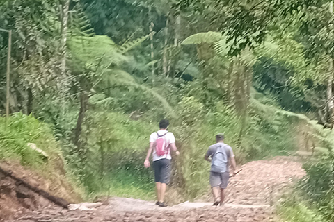 Queen Crater Hike on Halimun Salak Mountain National Park
