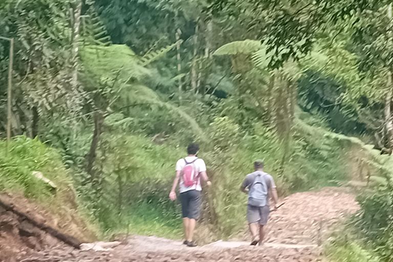 Queen Crater Hike on Halimun Salak Mountain National Park