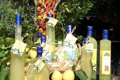 Sorrento: Walking Tour in Lemon Garden w/ Food Tasting