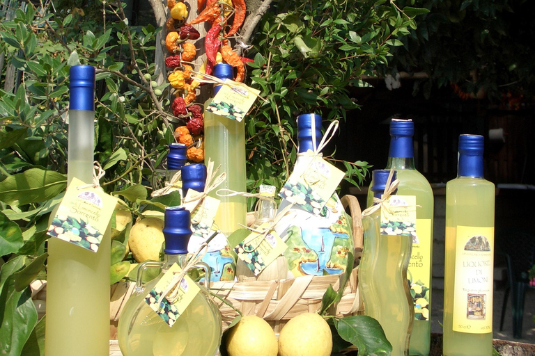Sorrento: Walking Tour in Lemon Garden w/ Food Tasting