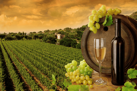 Mycenae-Ancient Nemea-Wine tasting from Nafplio