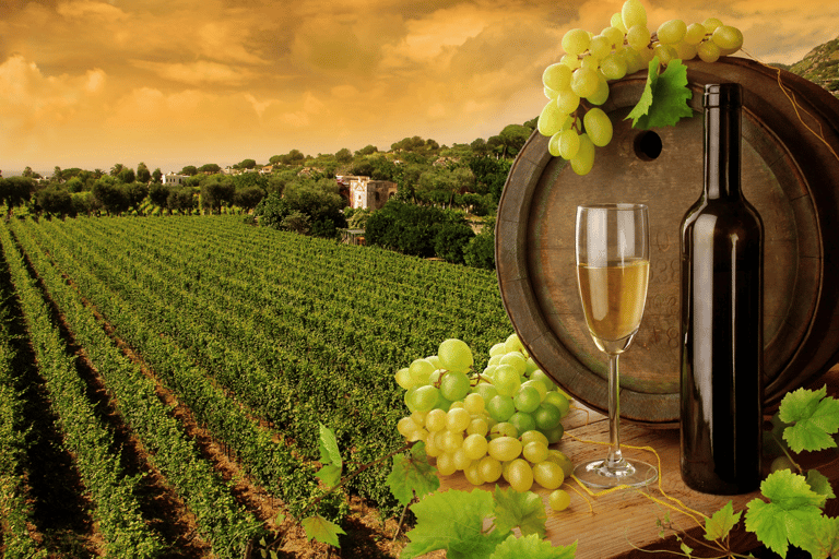 Mycenae-Ancient Nemea-Wine tasting from Nafplio