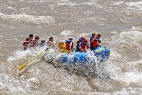 Colorado River Rafting: ochtend van een halve dag bij Fisher Towers