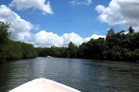 Madu River Boat Safari and Tuk-Tuk Tour Pickup & Drop-off