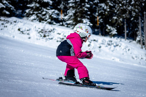 From Toulouse: Ski Day & VIP Transfer (Group of up to 6 people)