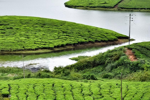 5-Day Kerala Highlights Tour with Overnight Houseboat Stay 3 Star Hotel Accommodation