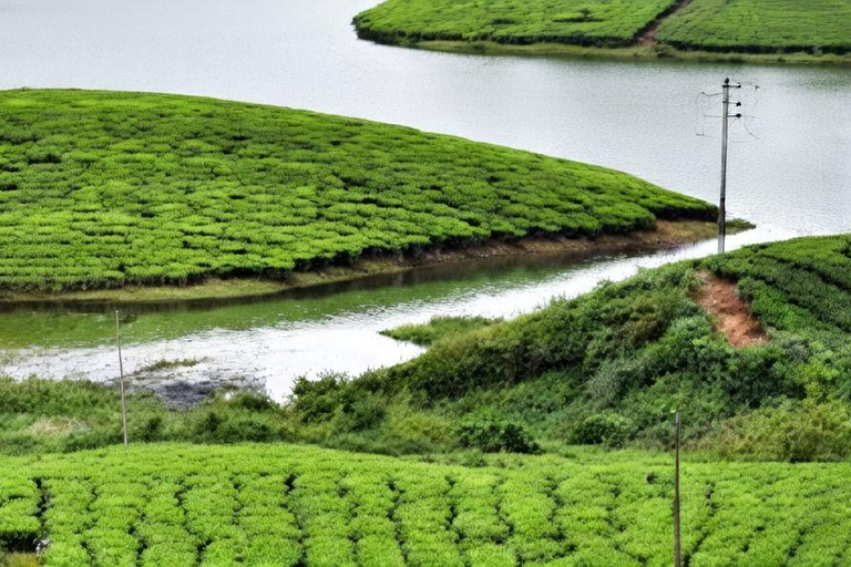5-Day Kerala Highlights Tour with Overnight Houseboat Stay 3 Star Hotel Accommodation