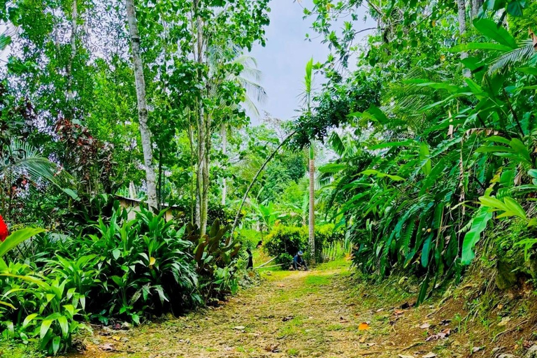 Montego Bay : Expérience des grottes de Cockpit