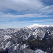 Vienna: Relaxed Alpine Snowshoe Experience Guide & Transfer