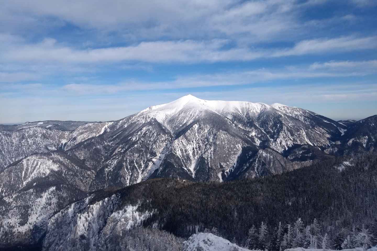 Vienna: Relaxed Alpine Snowshoe Experience Guide & Transfer