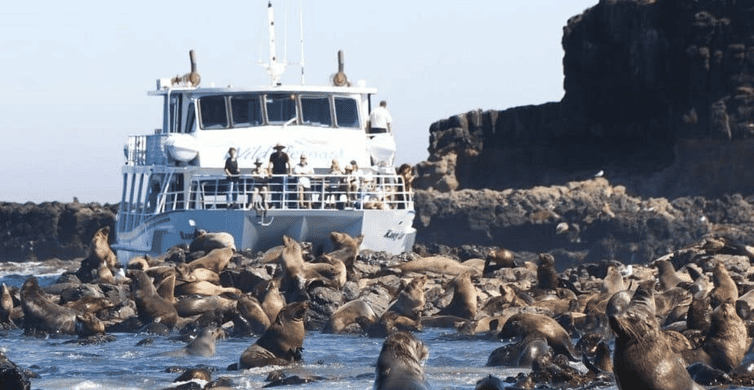 Melbourne: Phillip Island Tour w/ Hop-on Bus or Seal Cruise
