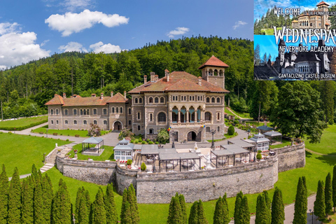 MINIVAN Dracula Castle, Peleș Castle & Wednesday 3 CASTLES Audio Guide 24 Languages