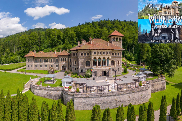MINIVAN Dracula Castle, Peleș Castle & Wednesday 3 CASTLES Audio Guide 24 Languages