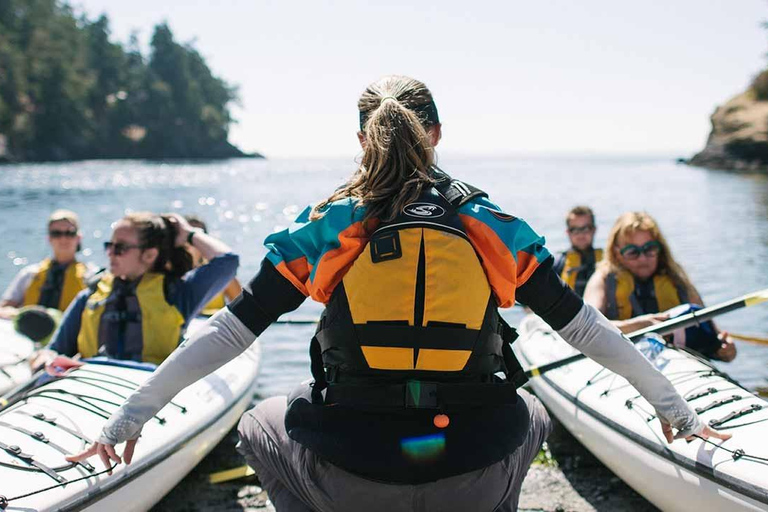 San Juan Island: West Side Half Day Kayak Tour Half Day