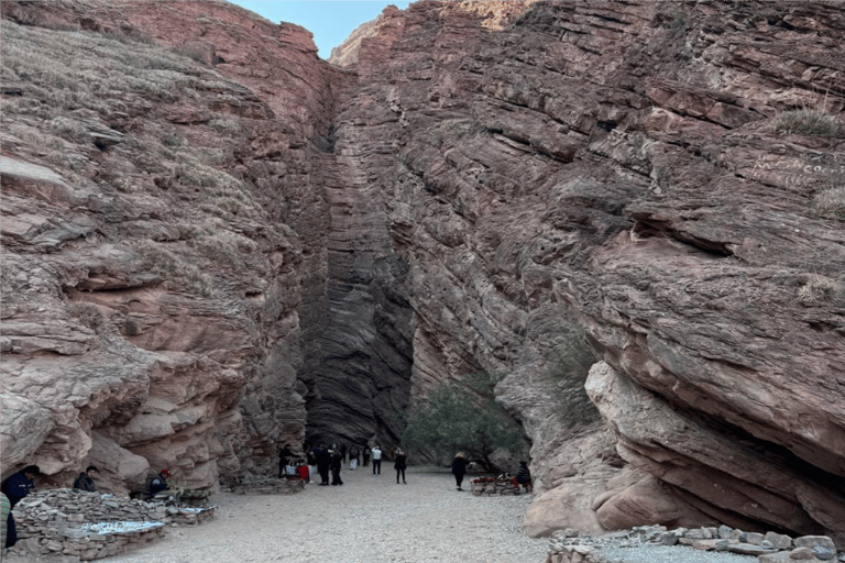 Full-day tour to Cafayate, Winery Visit and Wine Tasting