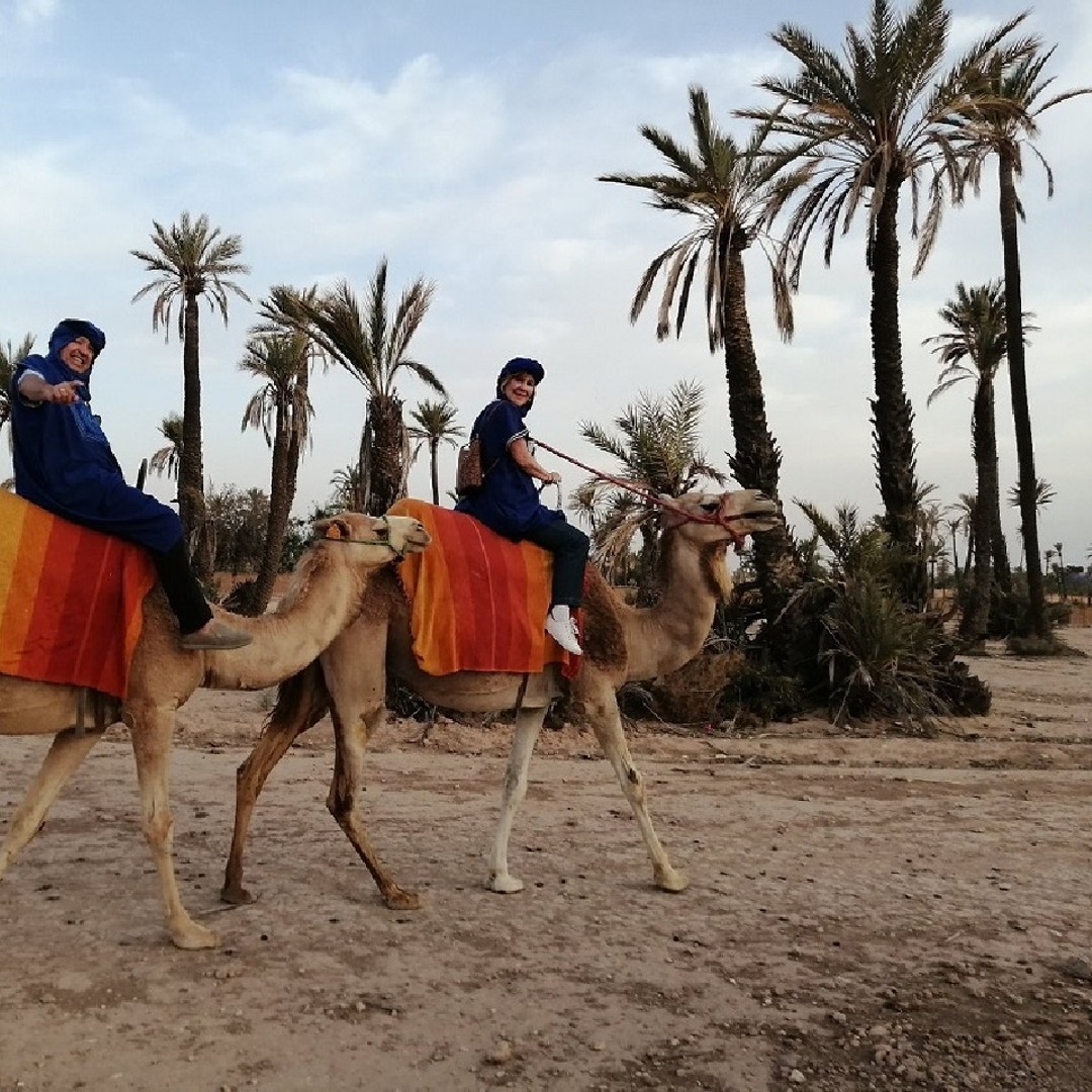 Promenade à dos de chameau dans la Palmeraie 1 heure, avec thé - dromadaire