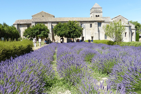 Van Gogh & Monet Villages: Full-Day Tour from Paris