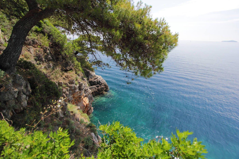 Dubrovnik : Grotte bleue, tour en bateau des îles Elaphiti et visite de la ville