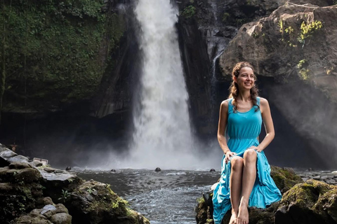 Bali: Swings, Koi Fish Photo Boat, Monkey Forest & Waterfall Private Tour all Ticket include