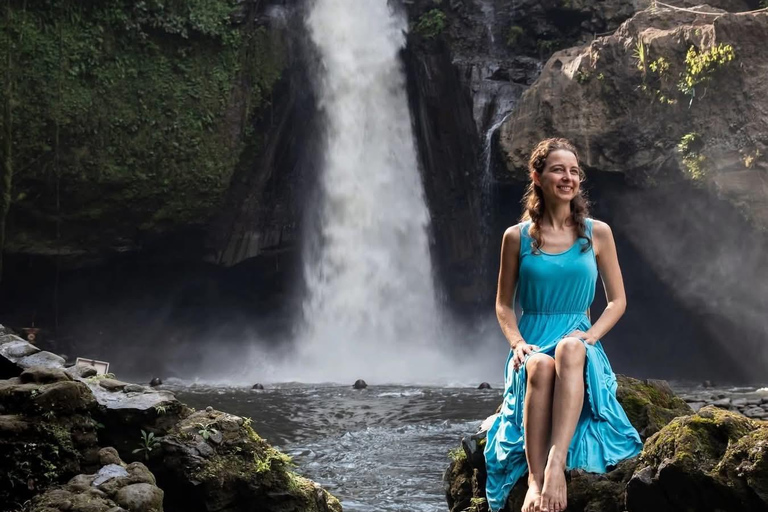 Bali: Swings, Koi Fish Photo Boat, Monkey Forest & Waterfall Private Tour all Ticket include