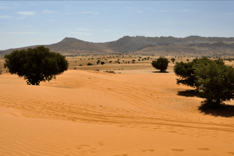 Agadi: Excursión de un día al desierto del Sahara con almuerzo