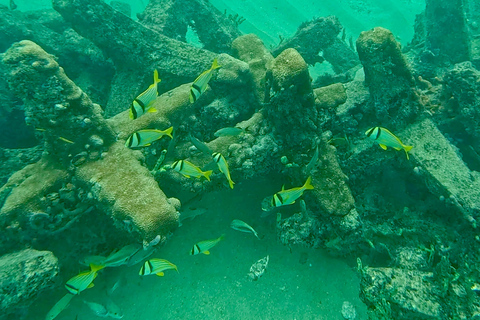 Fort Lauderdale: Ocean Reef Snorkel Tour w/ Snacks & Drinks