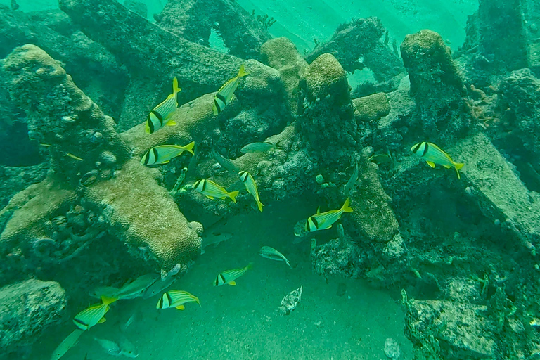 Fort Lauderdale: Ocean Reef Snorkel Tour w/ Snacks & Drinks