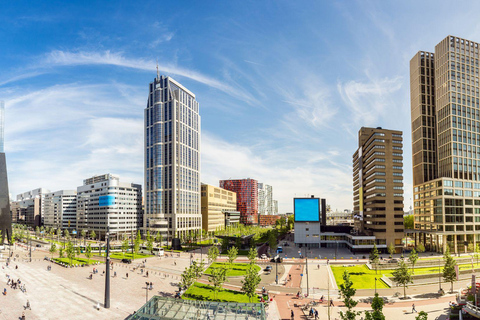 Lo Mejor de Róterdam: Visita privada a pie con un lugareñoVisita privada a pie por la ciudad - 2H