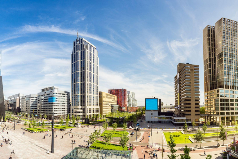 Lo Mejor de Róterdam: Visita privada a pie con un lugareñoVisita privada a pie por la ciudad - 2H