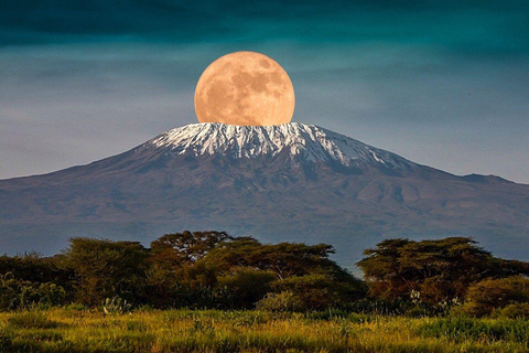 Nairobi: Maasai Mara, Amboseli, or Lake Naivasha Safari Tour