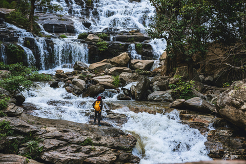 From Galle: Sinharaja Rainforest Trek & Village Lunch From Deniyaya: Private Tuk-Tuk, Rainforest Trek & Lunch