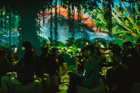 MINA Muzeum Immersyjnej Nowej Sztuki, BukaresztMuzeum MINA: wciągające doświadczenie, Bukareszt