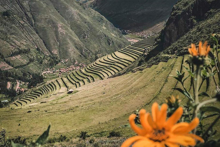 Cusco: Heilige Vallei, Zoutmijnen van Maras en Moray &amp; LunchCusco: Heilige Vallei, Zoutmijnen van Marás en Moray &amp; Lunch