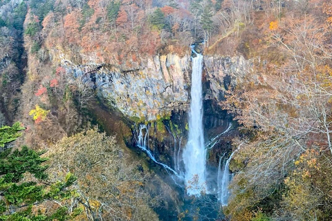 Tokio: Prywatna 1-dniowa wycieczka Nikko z wizytą w świątyni Toshogu