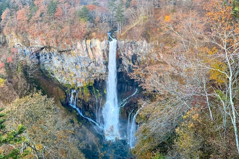 Tokyo : Excursion privée d&#039;une journée à Nikko avec visite du sanctuaire de Toshogu