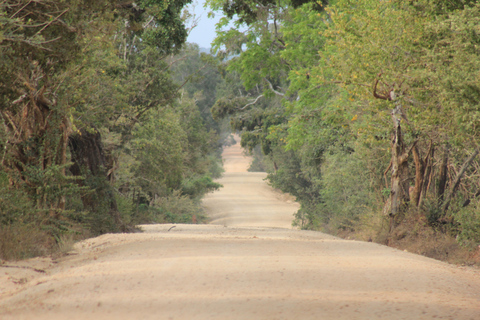 Van: Mirissa/ Matara/ Koggala - YALA Safari -Afzetten: Ella