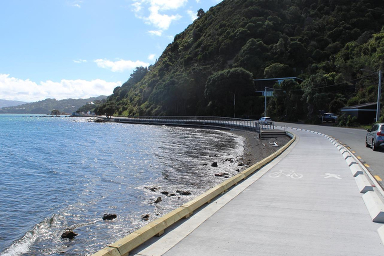 Wellington: eBike around the Harbour then Ferry back