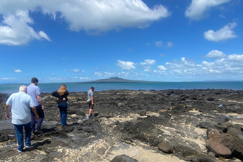Auckland: Urban Rainforest Half-Day Small Group Walking Tour